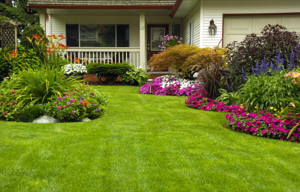 Front Yard Landscaping